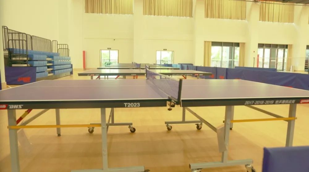 游学冬令营2024,游学冬令营活动