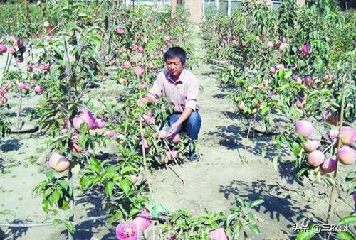 农村小投资创业项目推荐,创业小项目农村小本创业门路推荐