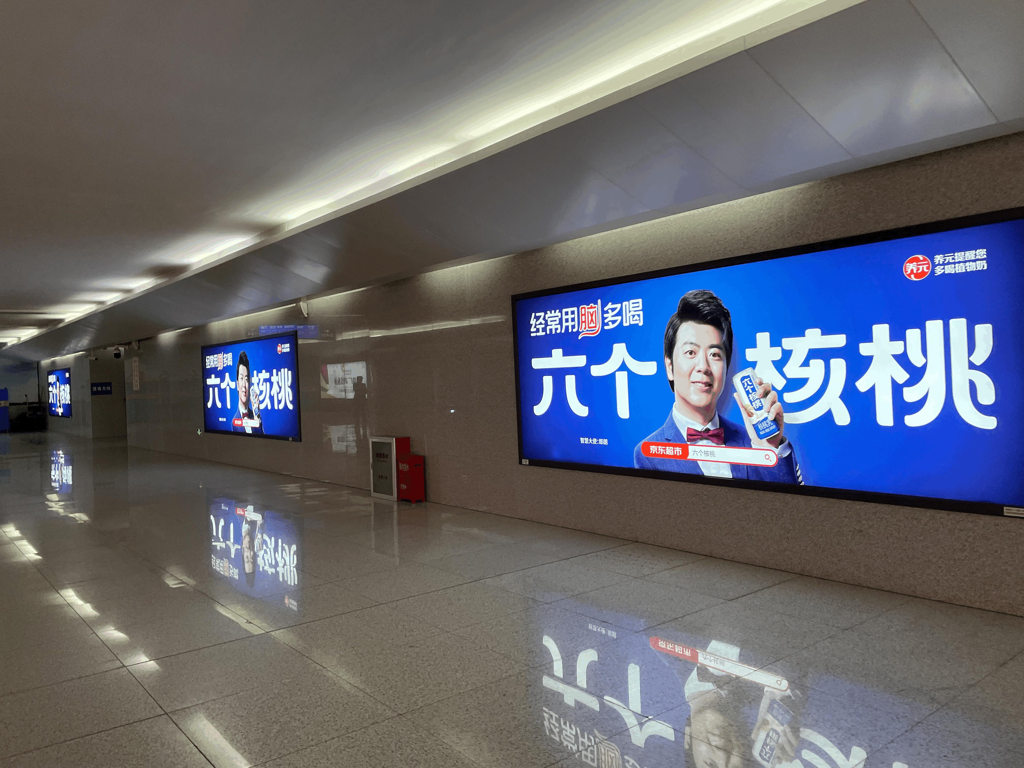 养元饮品股票业绩大全,养元饮品行情分析