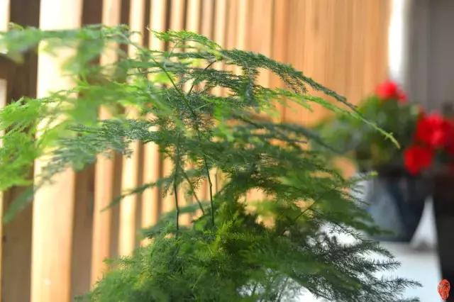 阳气发于什么穴位,中医认为人体阳气的根在肾