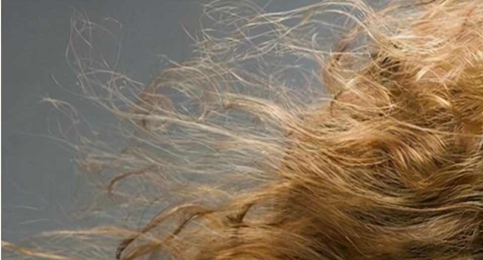 如何改善发质,发质油腻怎么改善