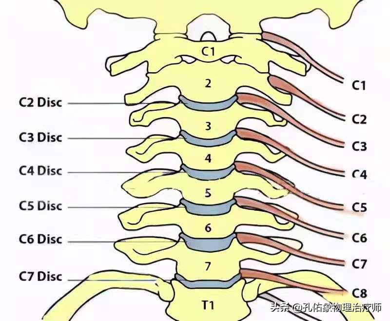 颈椎病用什么方法治疗最有效呢,颈椎病怎么治疗又简单又有效果呢