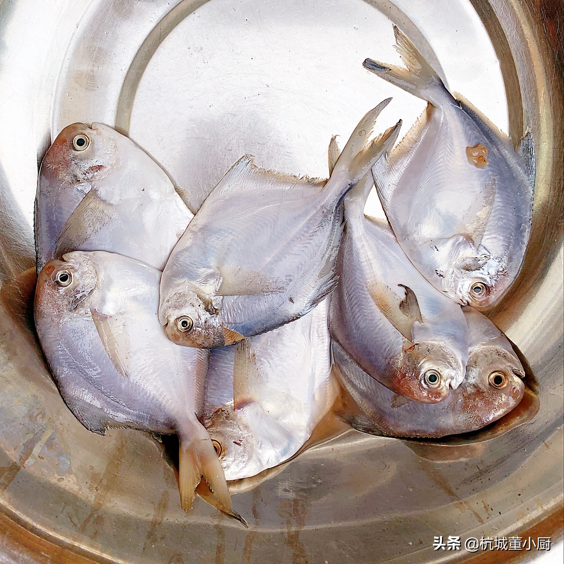 大厨红烧鲳鱼最正宗的做法,蒜子鲳鱼