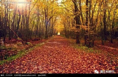 电气测控专业就业前景,电气相关专业就业前景