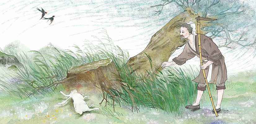 大快人心抓捕现场视频,大快人心刑拘视频