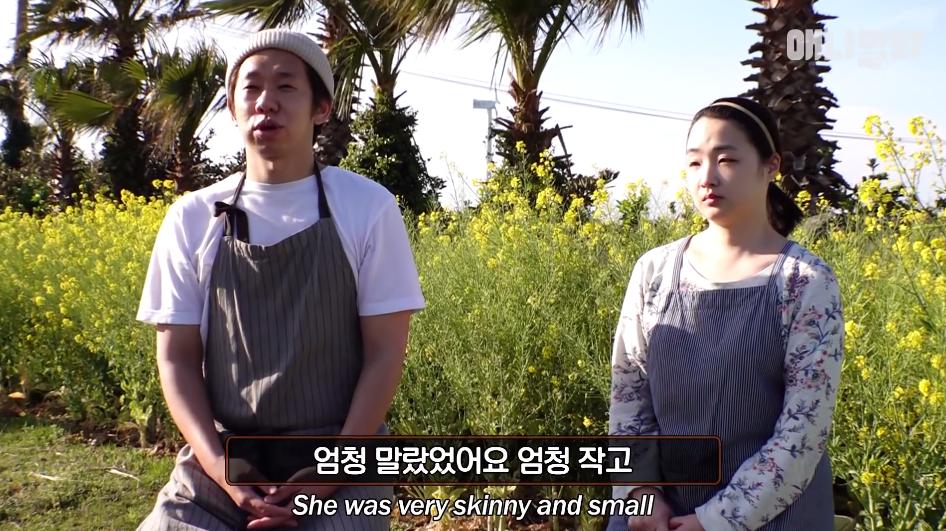 二哈为什么变瘦了,二哈太胖了必须要减肥