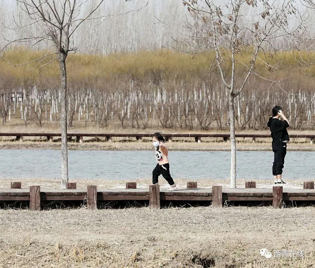 天津2022年四月开放的公园,期待天津这里将再添一片绿洲