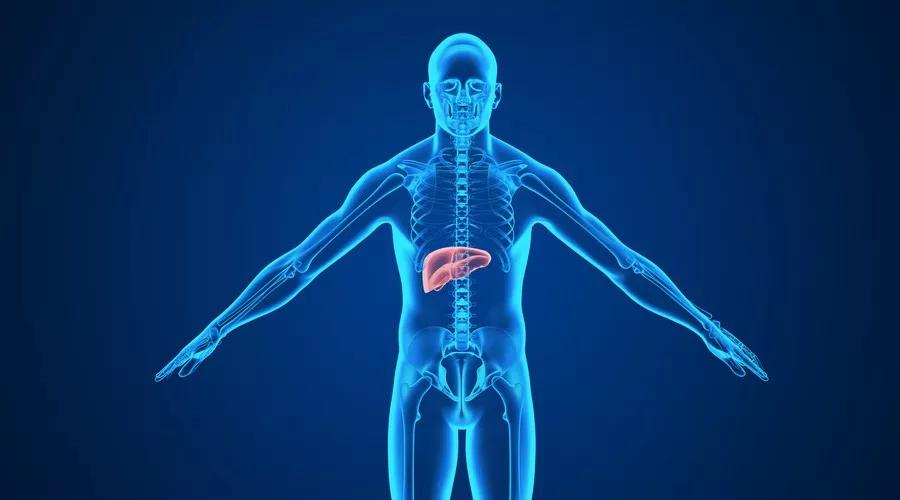 肽的好转反应完整版,肽与健康的十大作用