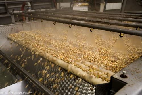 开心果30一斤贵吗,开心果为什么这么贵呢