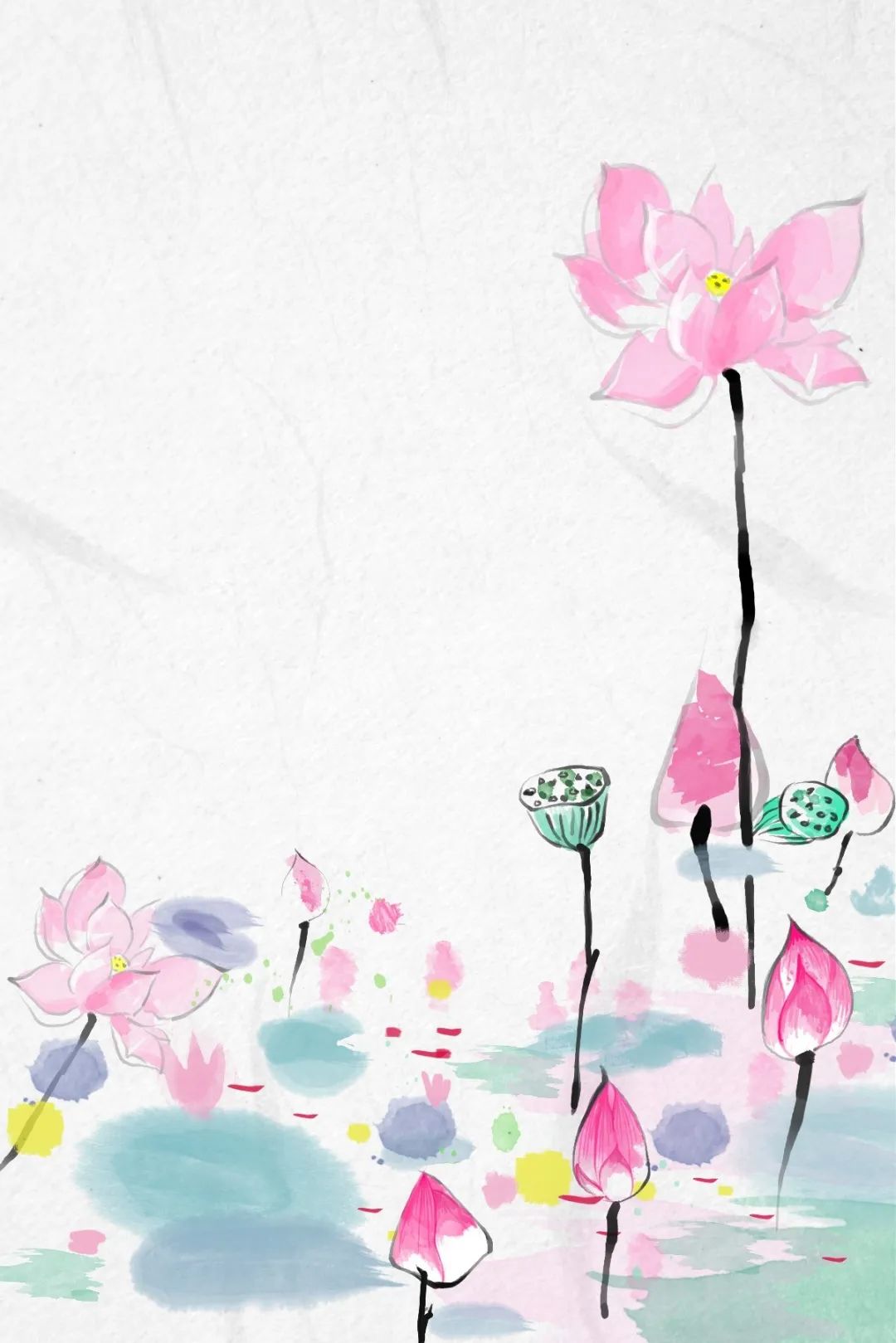 描写荷花的作文300字三年级的,关于荷花积累好词好句