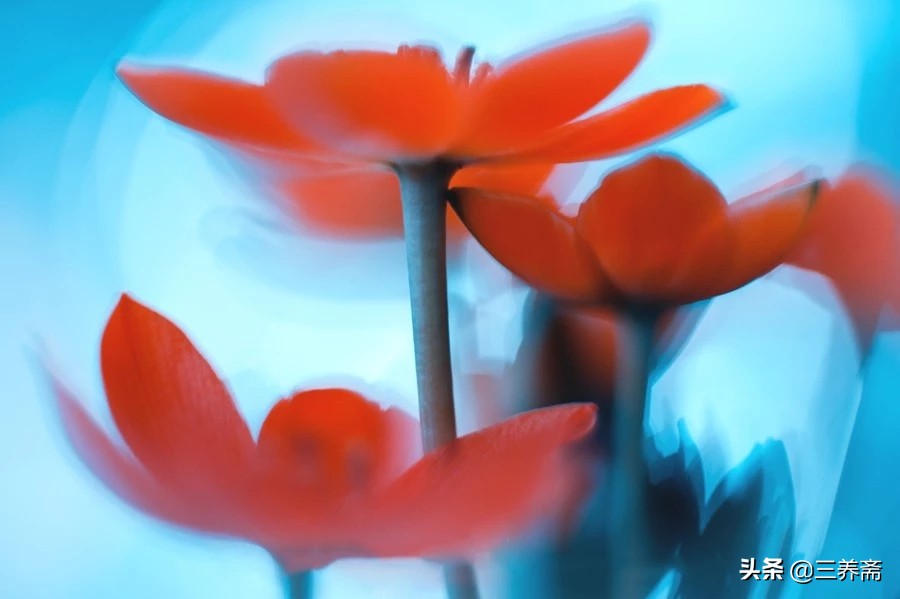 登鹳雀楼唐王之涣一年级上册古诗,登鹳雀楼唐王之涣古诗讲解