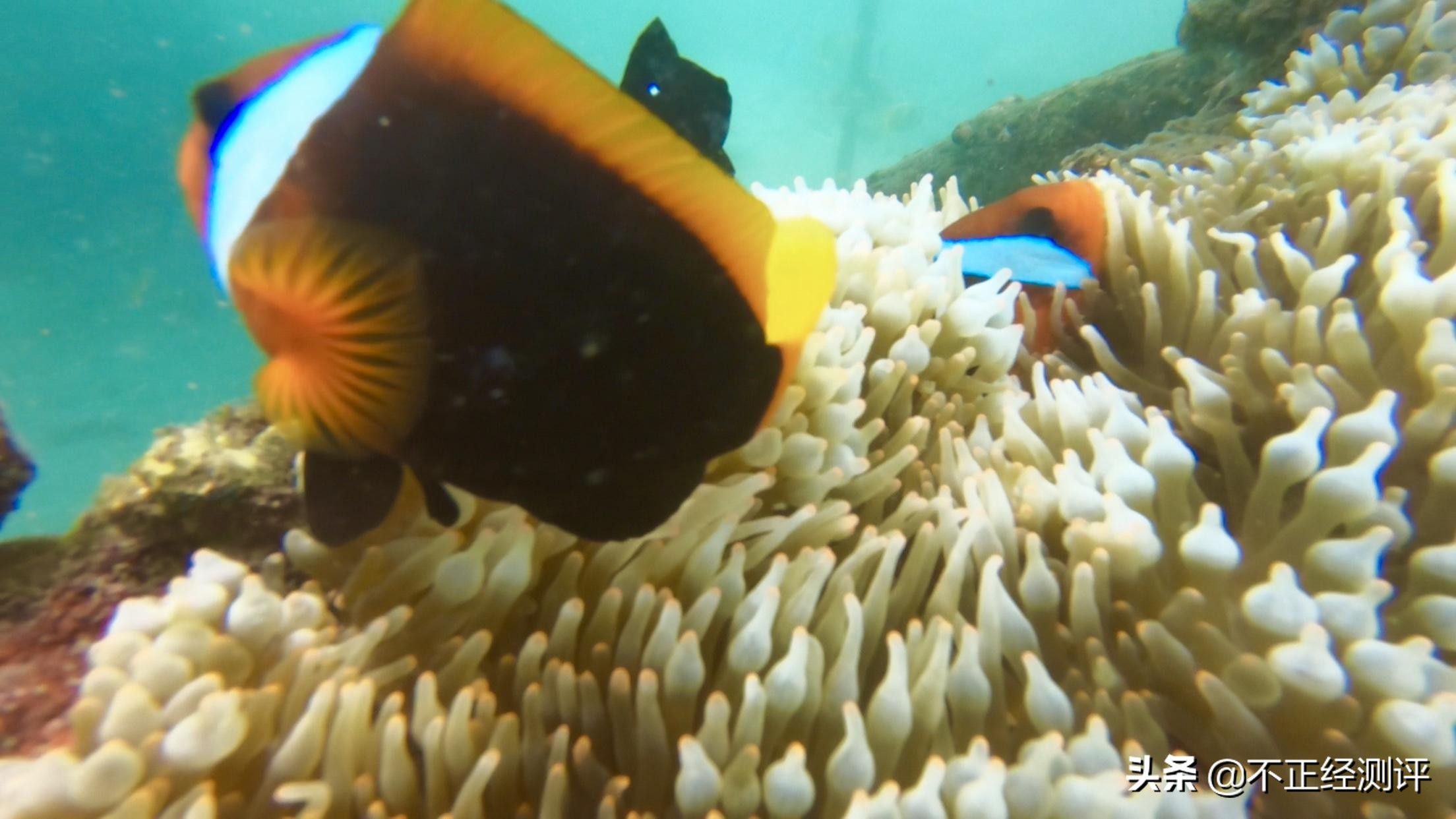 巴厘岛旅游攻略自由行攻略,巴厘岛的自由行旅游攻略