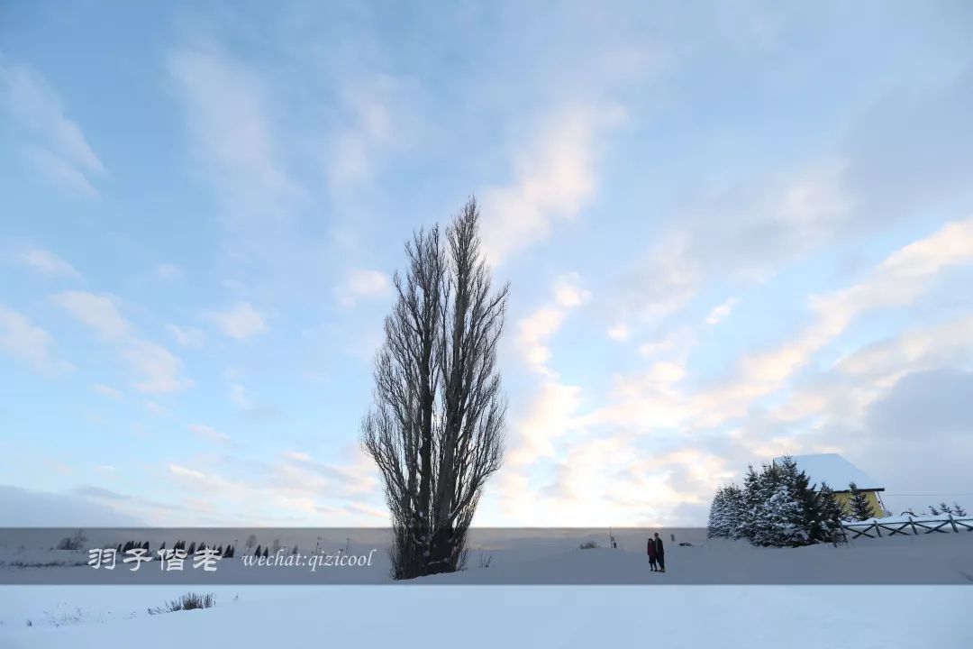 老实说,这一趟北海道就是为了拍好看的照片去的