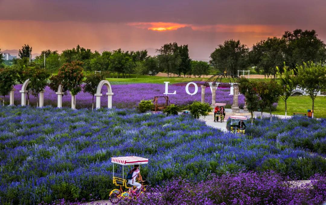 【FENG爆】走！到丰台赏秋去——2021丰台金秋文化旅游季，正式开启！