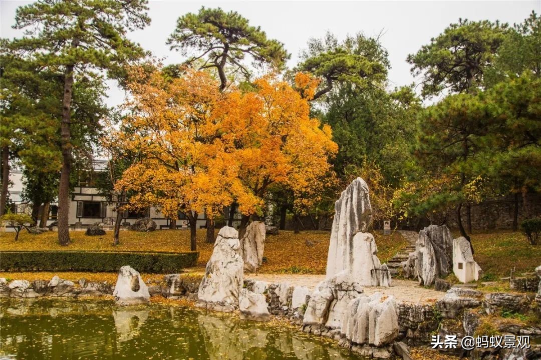 香山饭店四绝十八景是什么,香山饭店的游记