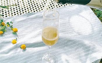 阿根廷阿泰斯马尔贝克红酒,阿根廷的葡萄酒怎么样