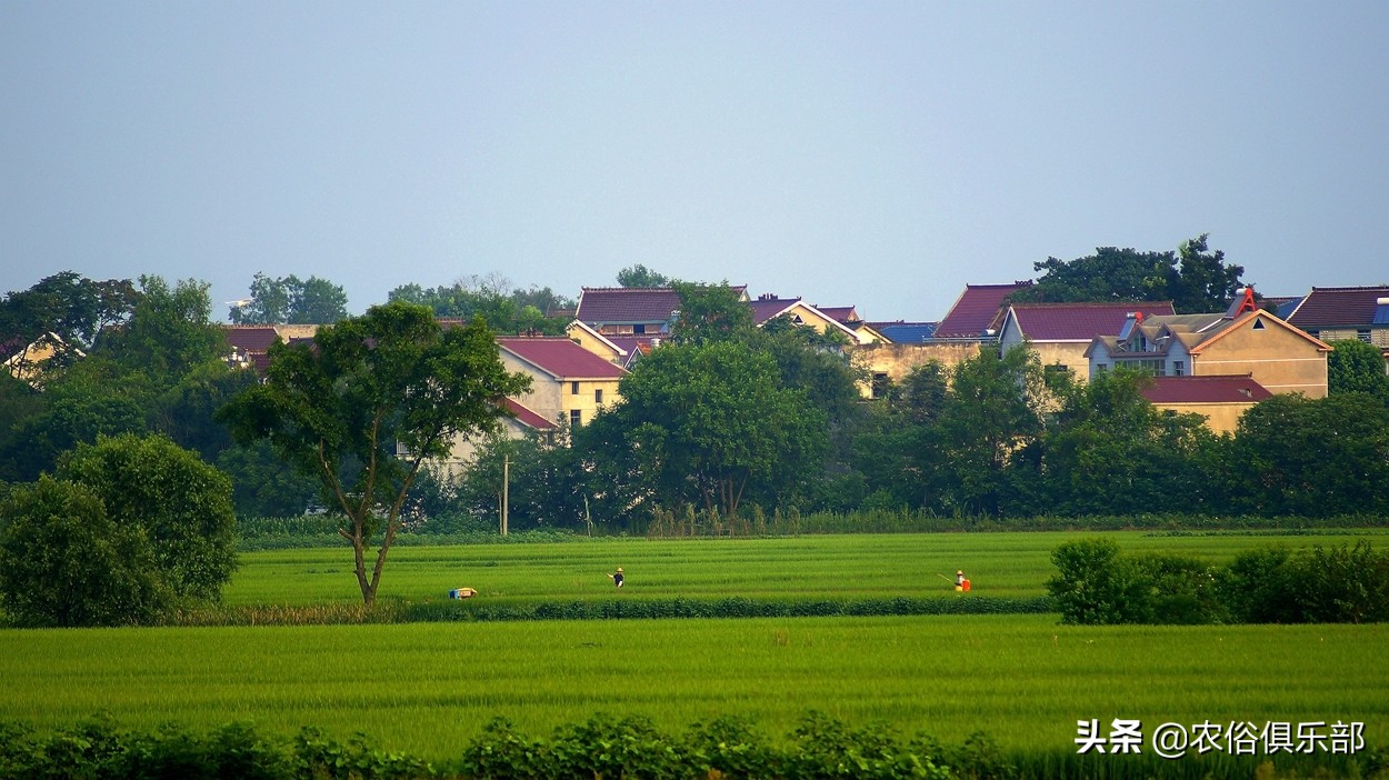 民间故事晚不梳头早不说梦,老祖宗留下俗语晚不梳头早不说梦