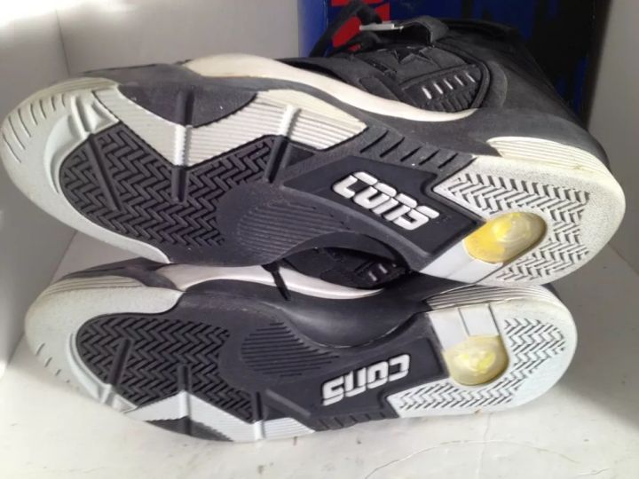 锡安和凯尔登约翰逊,锡安模板约翰逊