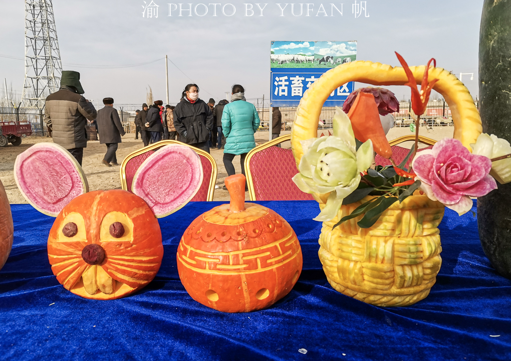 新巴扎新疆特产,新疆巴州博湖特产