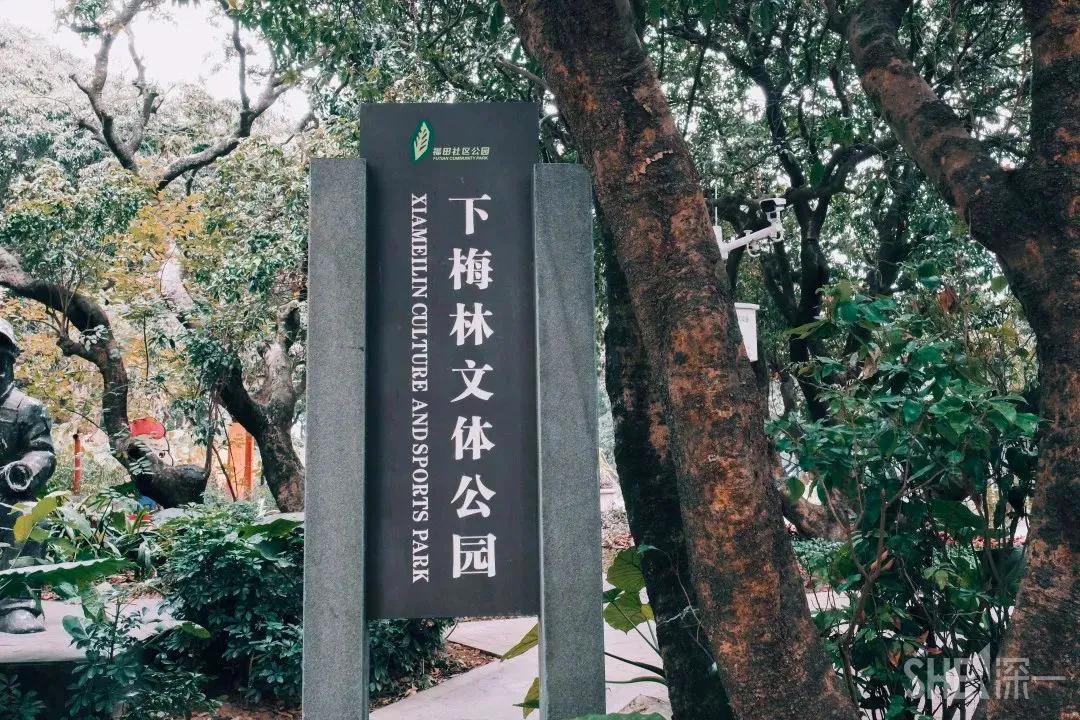 9号线上有什么景点吗,9号线游玩攻略大全