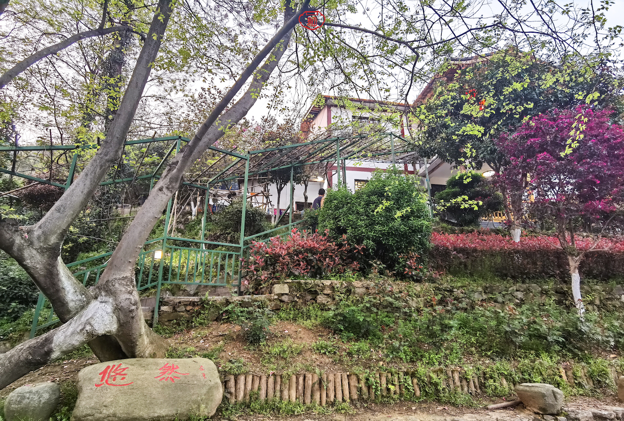 黄陂十佳农家乐,黄陂好吃的农家菜馆