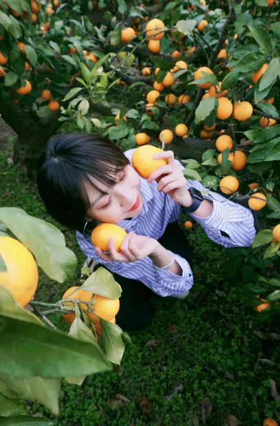 西安直飞1h,西安出发三日游冬季高铁