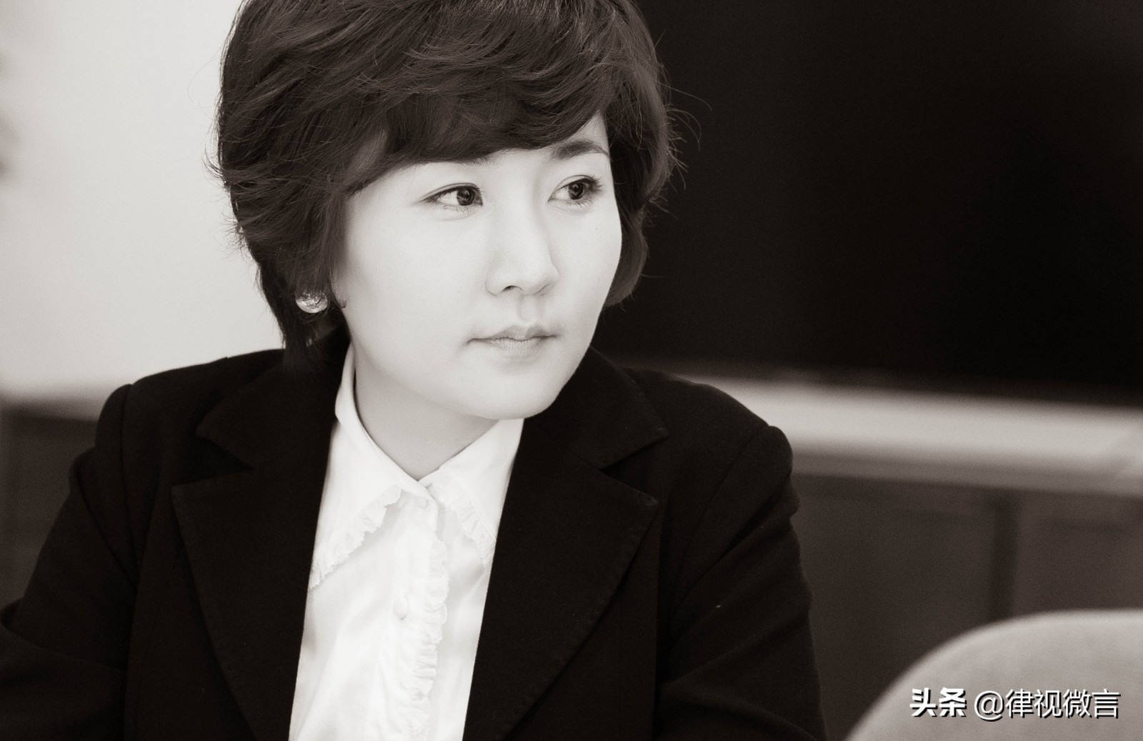 刑辩五朵金花律师,刑辩律师五朵金花