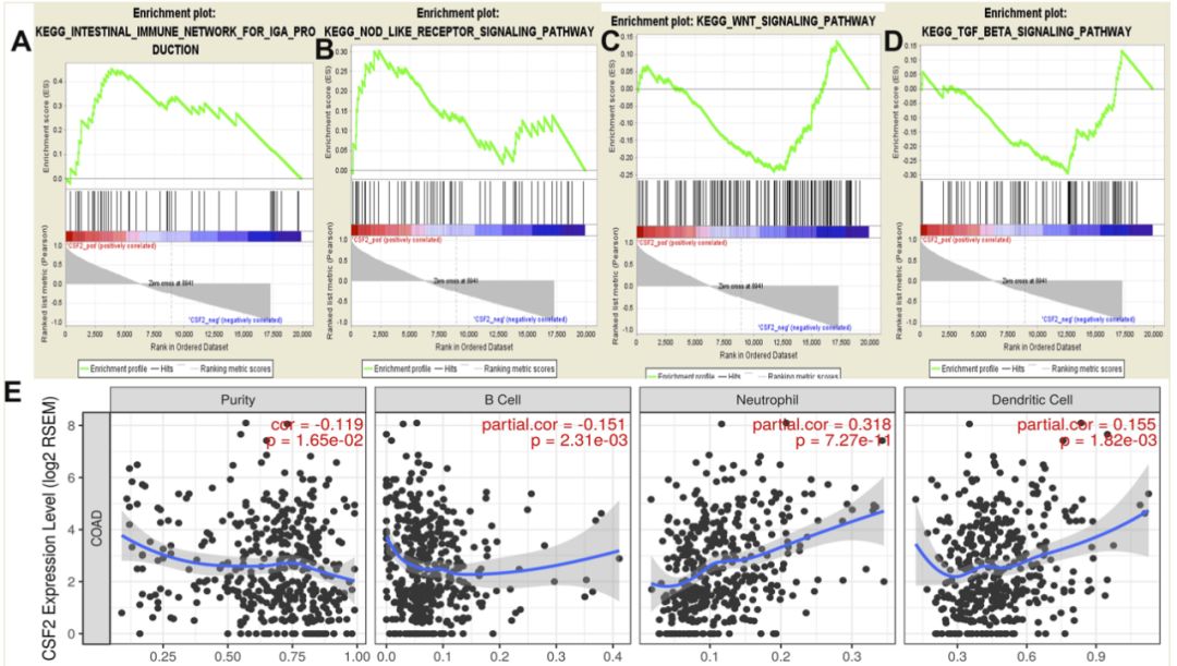 博士毕业神器3+分纯生信杂志：平均一审只要一个月，年刊量1000+
