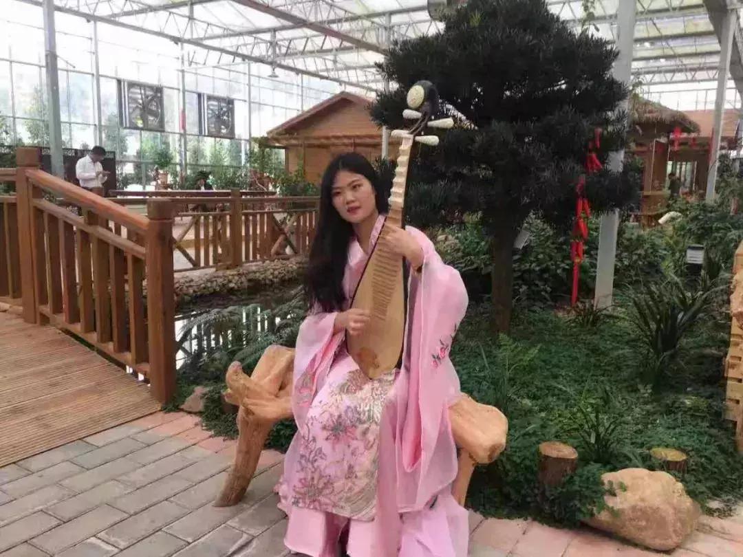 精品寒兰展,福建连城寒兰节