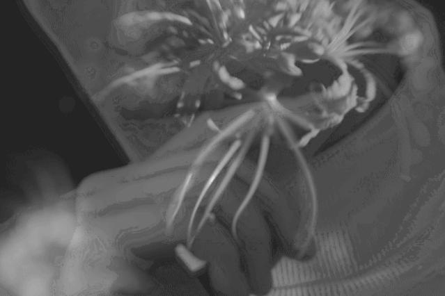 封面故事,封面朱一龙