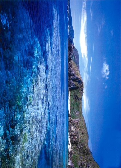 为企业经营管理助力,富士施乐c2060评测