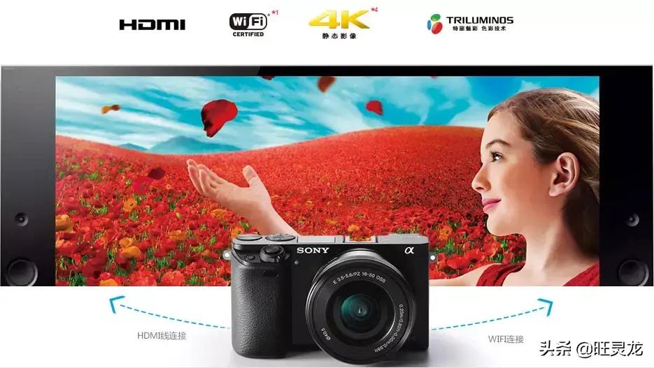 索尼alpha6000aps-c微单,索尼微单a6000黑色小框