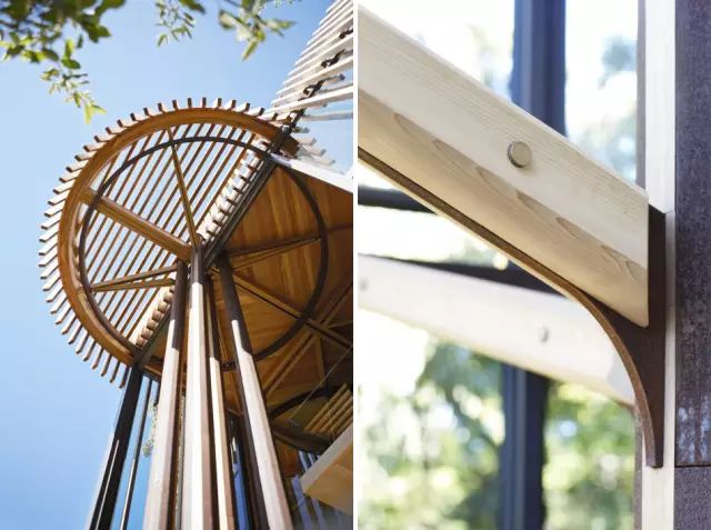 真正的森林树屋,这些树屋满足你对森林的所有幻想