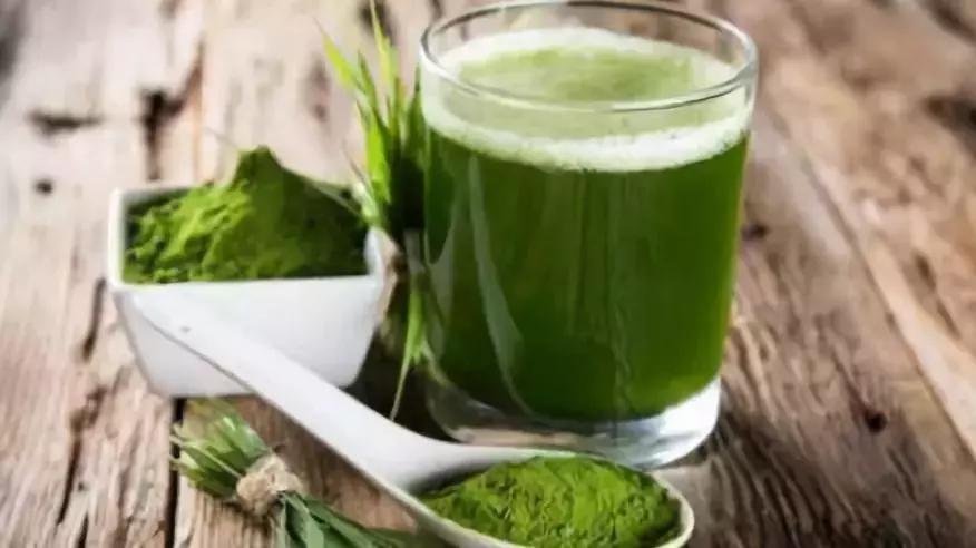 大麦青汁的排毒优点,大麦若叶青汁抗癌有什么效果