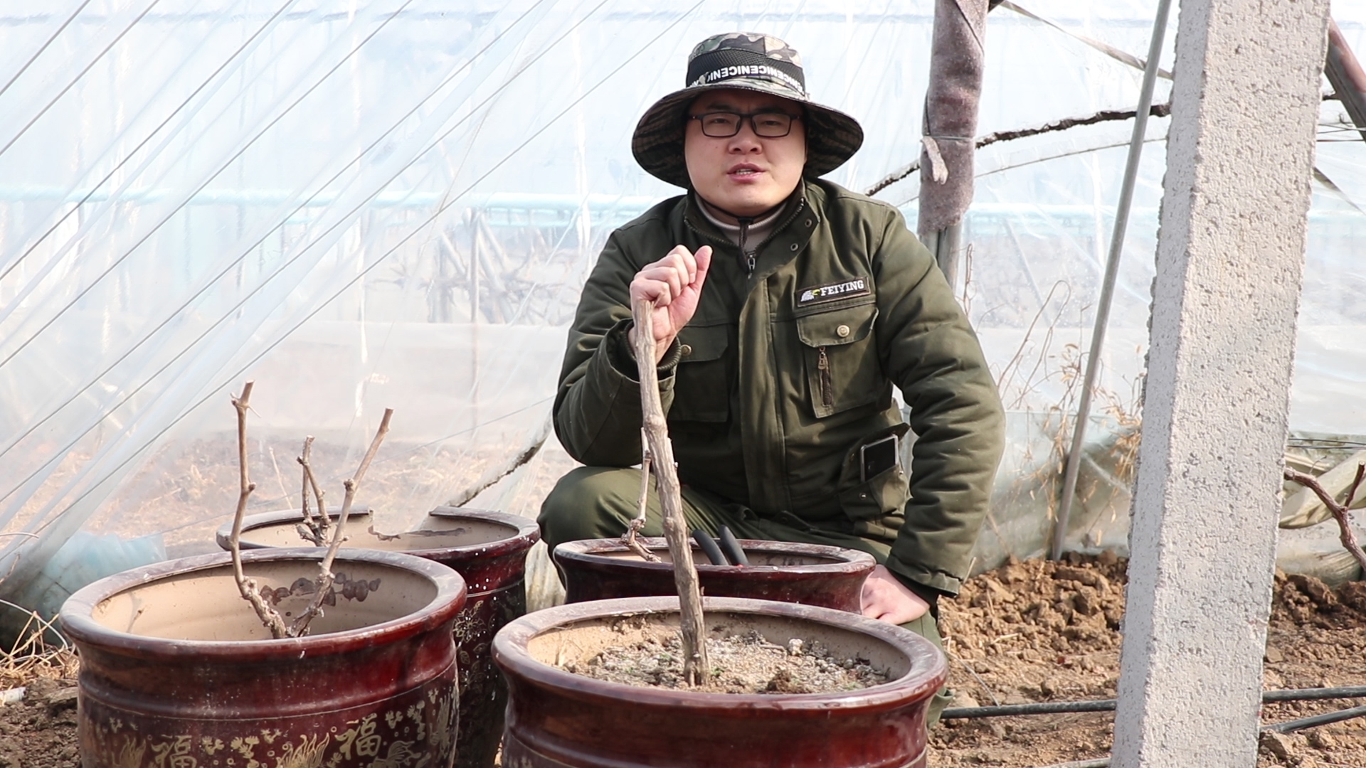 阳台种植葡萄对土深度有要求,阳台可以种葡萄吗种什么品种好