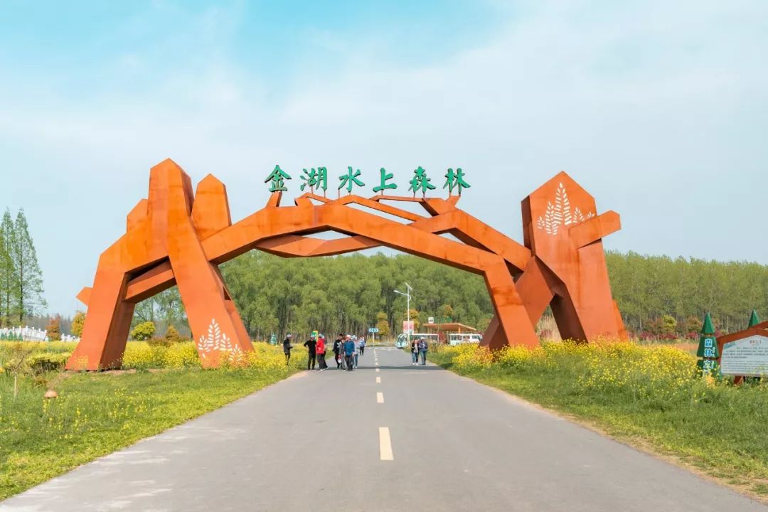 森氧之地，秋游必选！金湖万亩水上森林，真的别有趣味