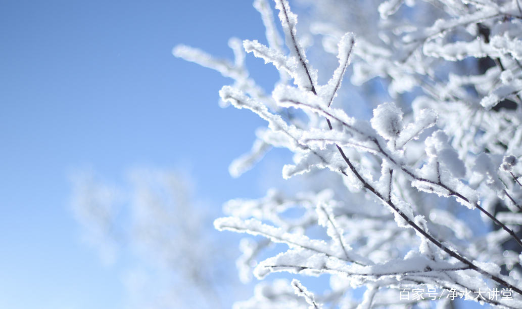 低温天气怎样保护净水器,净水机为了防冻中水怎么放出来
