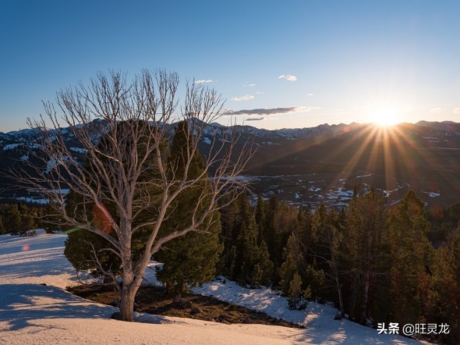 富士GF32-64mmF4RLMWR画质怎么样啊？