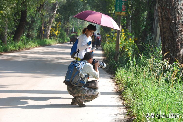 昆明嘉丽泽旅游景区,昆明嘉丽泽湿地露营
