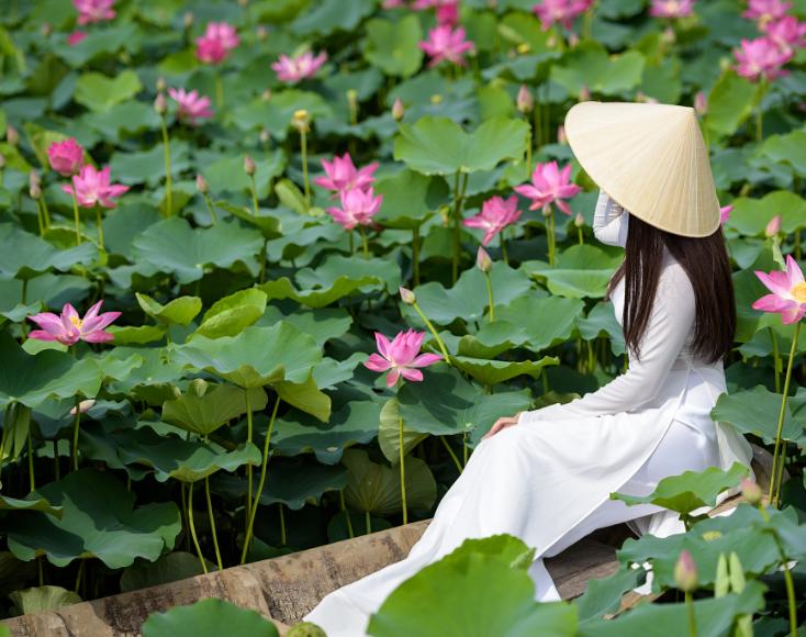 我家的江南风光,小小碗莲,自在清香淡雅,真的好看极了