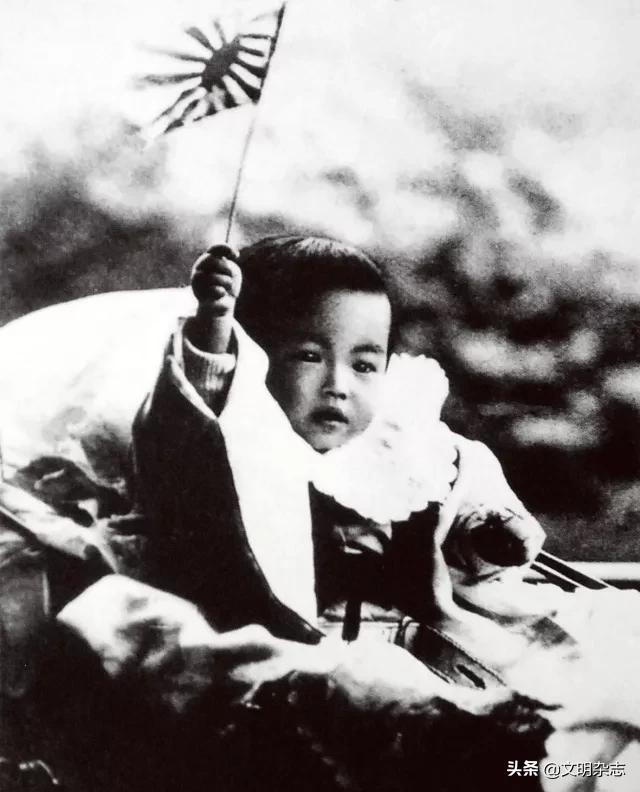 菊花王朝盛衰记,菊花王朝故事