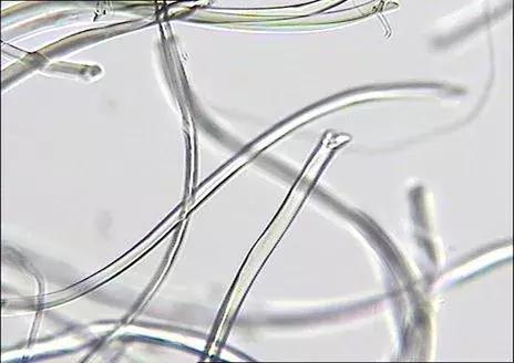 纺织纤维与面料分析介绍,天然纤维面料基础知识大全