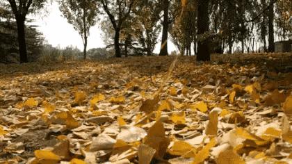 粗心的我400字优秀作文,贪玩的我优秀作文