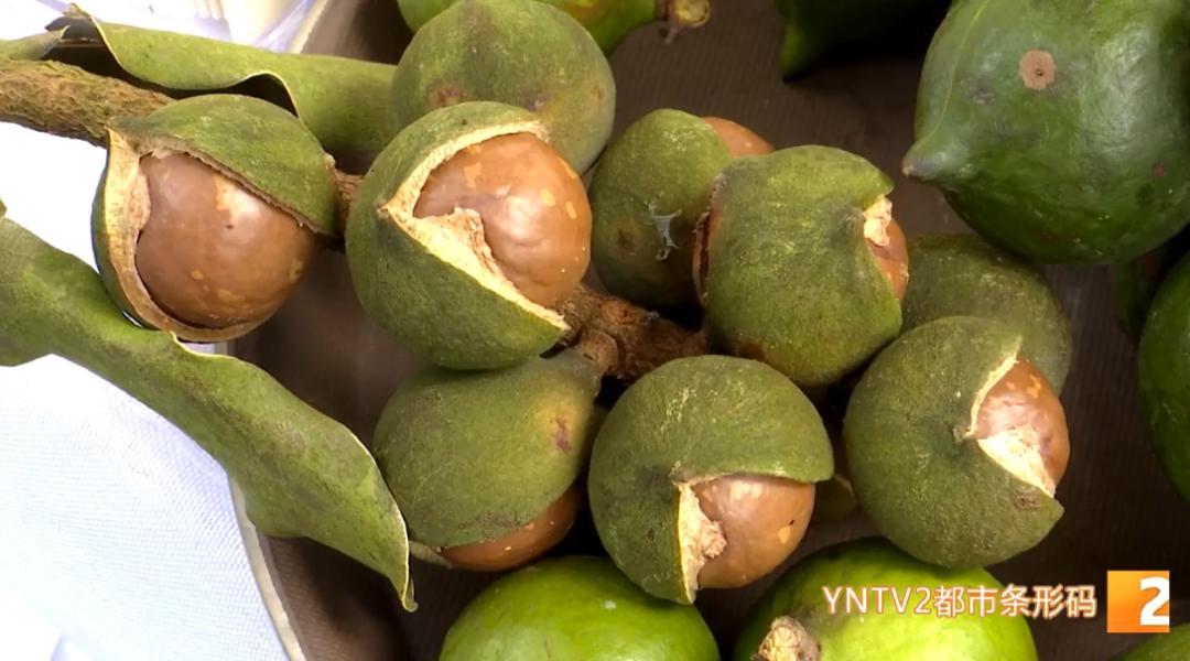 云南山货夏威夷果,云南哪里的夏威夷果比较出名
