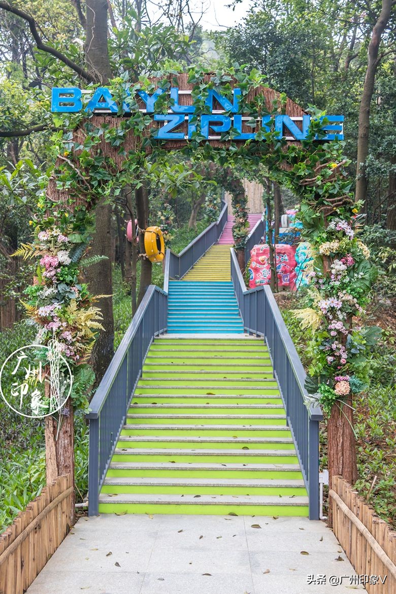 飞越云台山门票,飞跃白云山景区