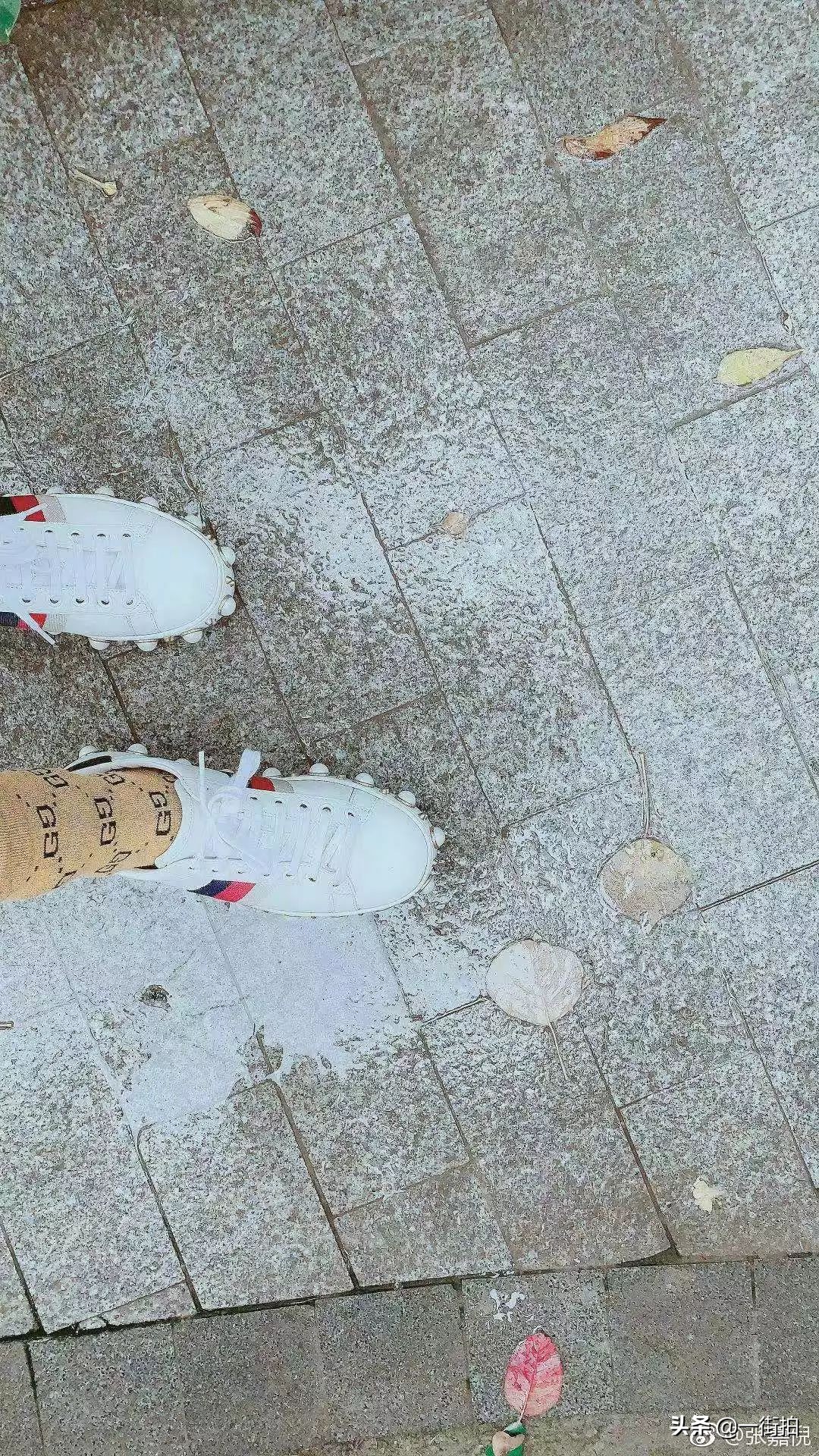 张嘉倪炫富视频完整版 (张嘉倪和老公的日常生活)