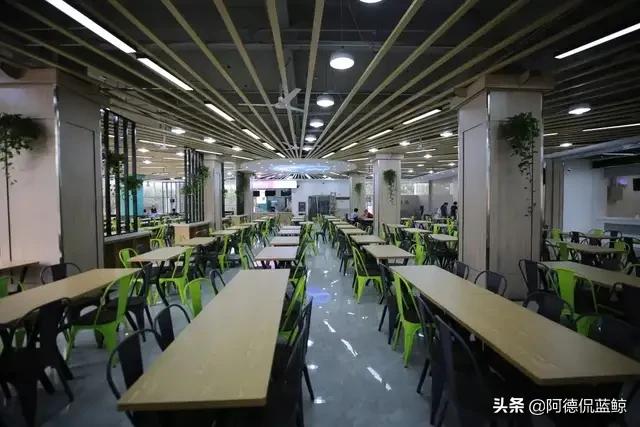 南中医怎么样,南中医专业