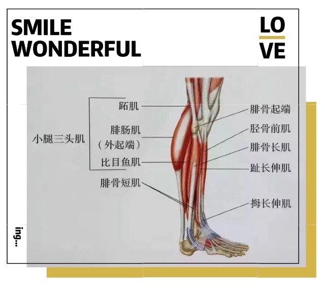 李小璐嘻哈舞,李小璐嘻哈风跳舞