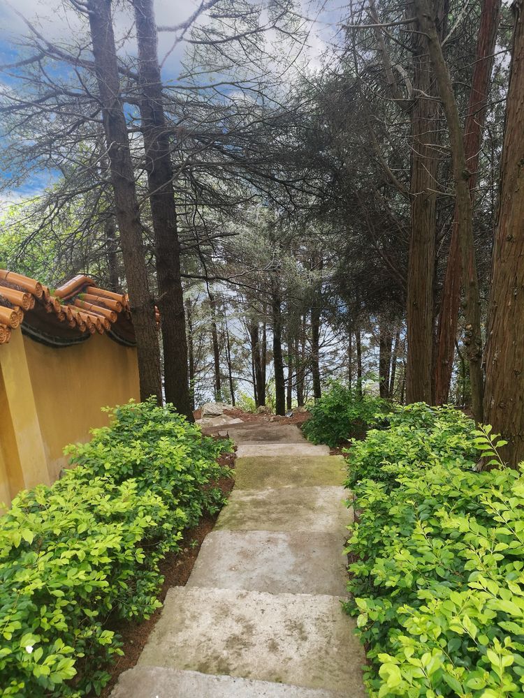 抚仙湖里的小岛,澄江抚仙湖孤山小岛怎么去