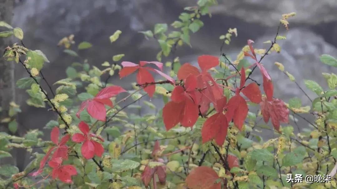 庄河步云山温泉,庄河步云山大雨